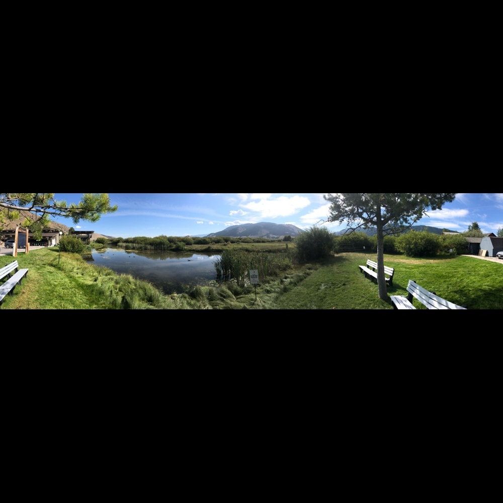 Meet your Posher, Juston